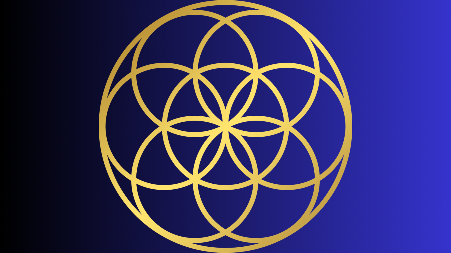 MOON CIRCLE - Stillness